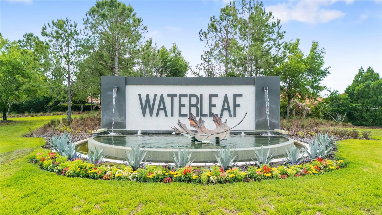 11814 Cross Vine Dr, Riverview, FL 33579 photo