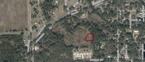  in MAYO FL 00 SW ROOSEVELT.jpg