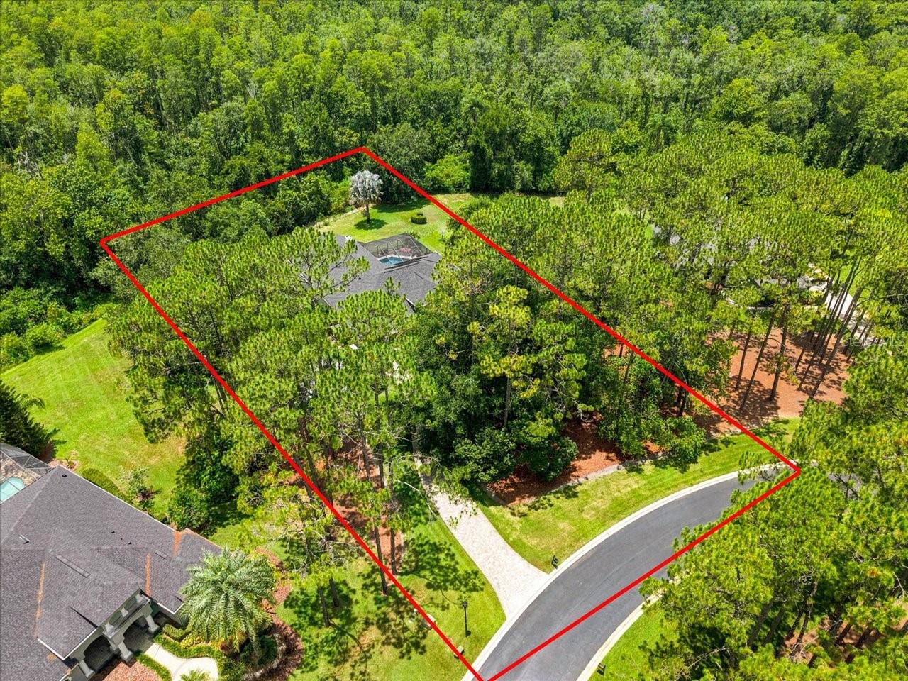 418 Pine Bluff Dr, Lutz, FL 33549 photo