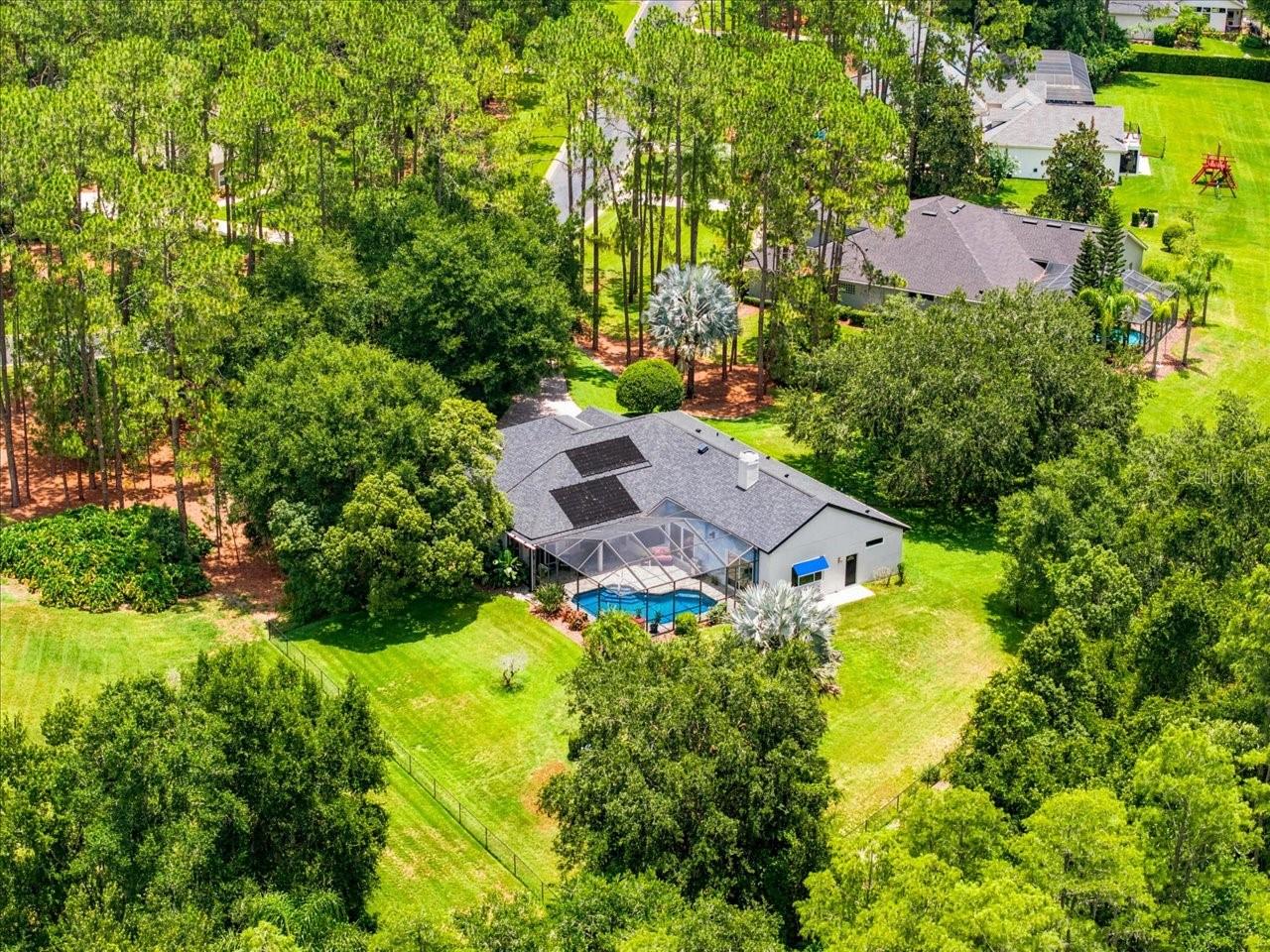 418 Pine Bluff Dr, Lutz, FL 33549 photo