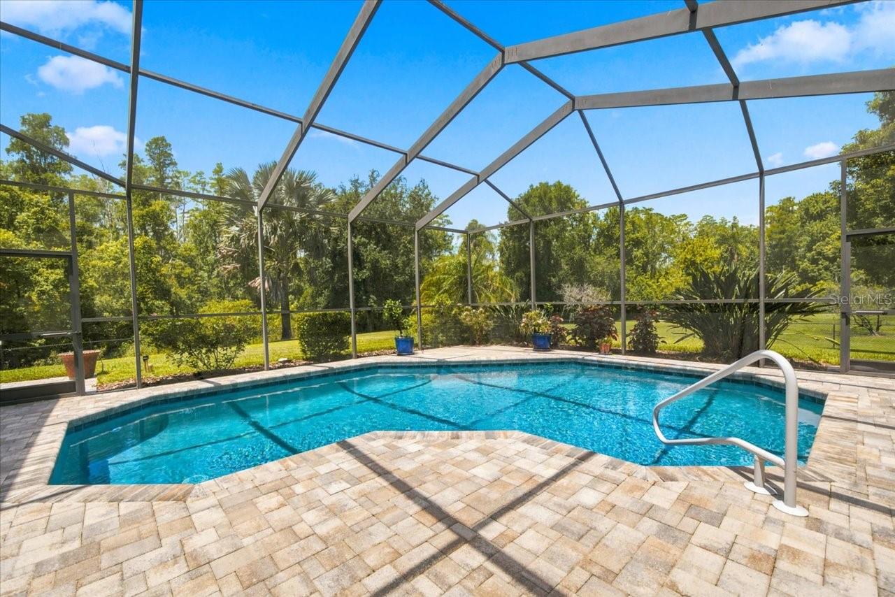 418 Pine Bluff Dr, Lutz, FL 33549 photo