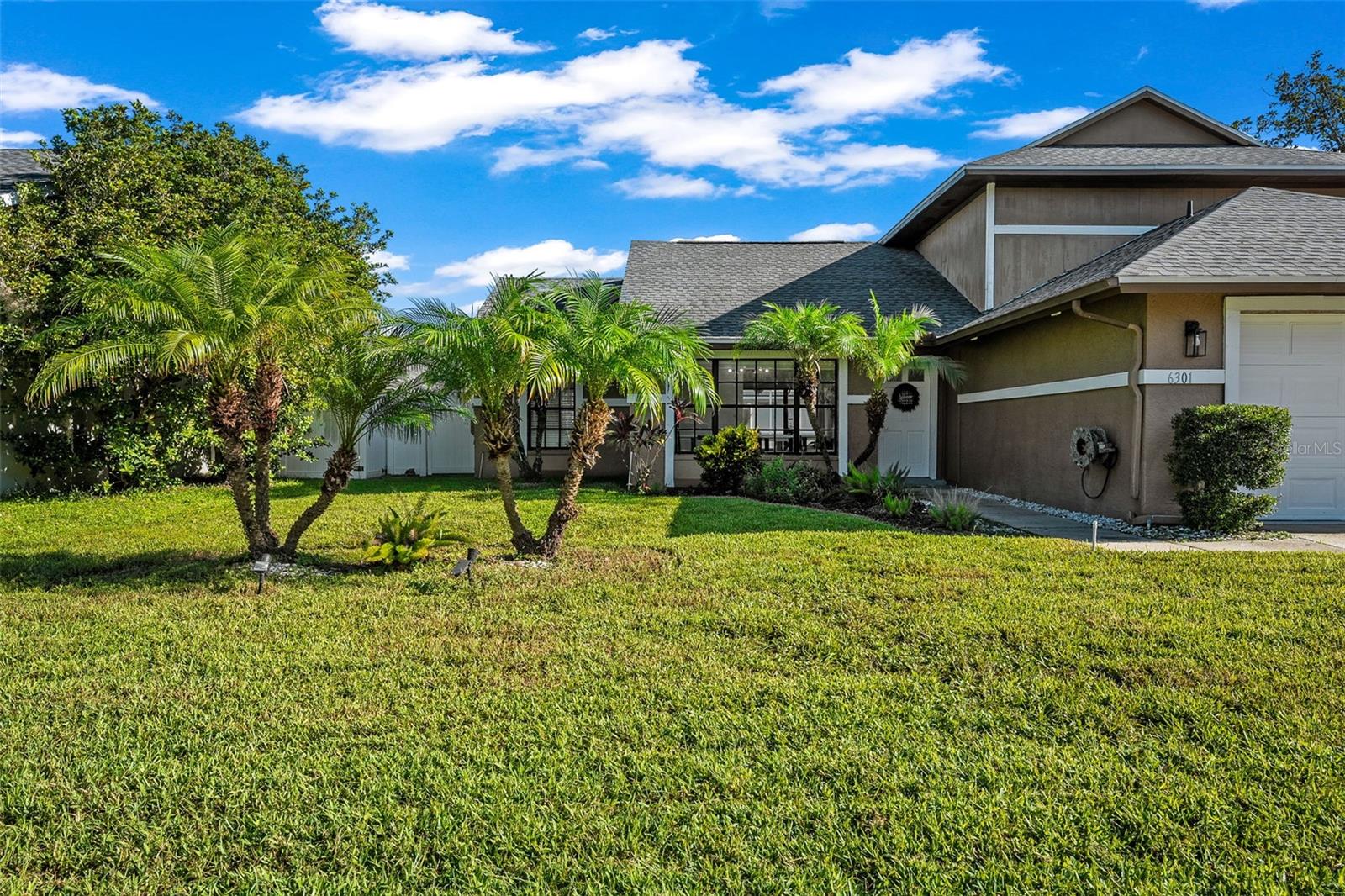 6301 Nesting Ct, Tampa, FL 33625 photo