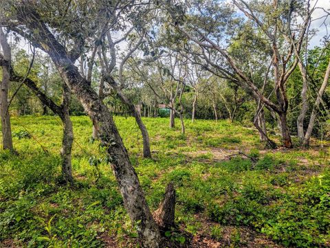  in DADE CITY FL 0 MERLIN CIRCLE 7.jpg