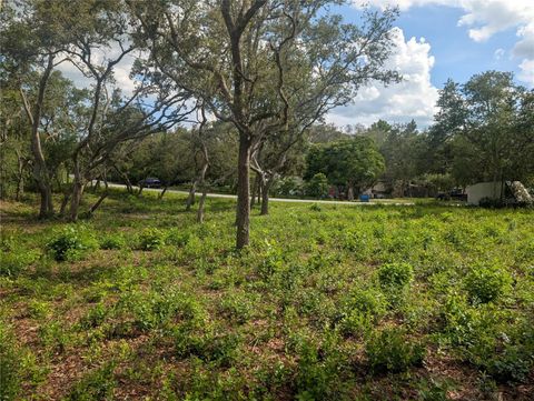  in DADE CITY FL 0 MERLIN CIRCLE 1.jpg