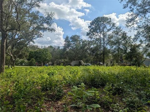  in DADE CITY FL 0 MERLIN CIRCLE 6.jpg