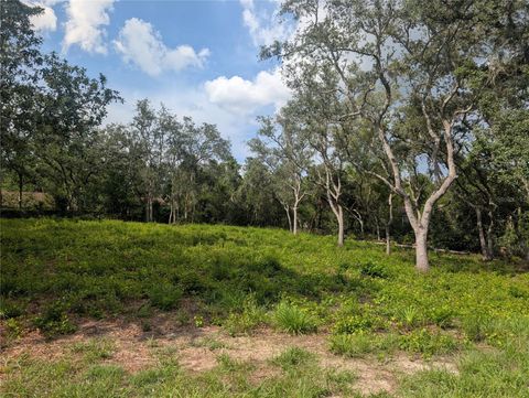  in DADE CITY FL 0 MERLIN CIRCLE 8.jpg