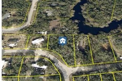  in DADE CITY FL 0 MERLIN CIRCLE 23.jpg