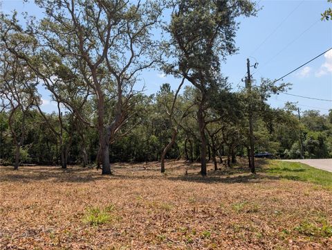  in DADE CITY FL 0 MERLIN CIRCLE 19.jpg