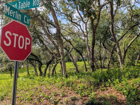  in DADE CITY FL 0 MERLIN CIRCLE 3.jpg