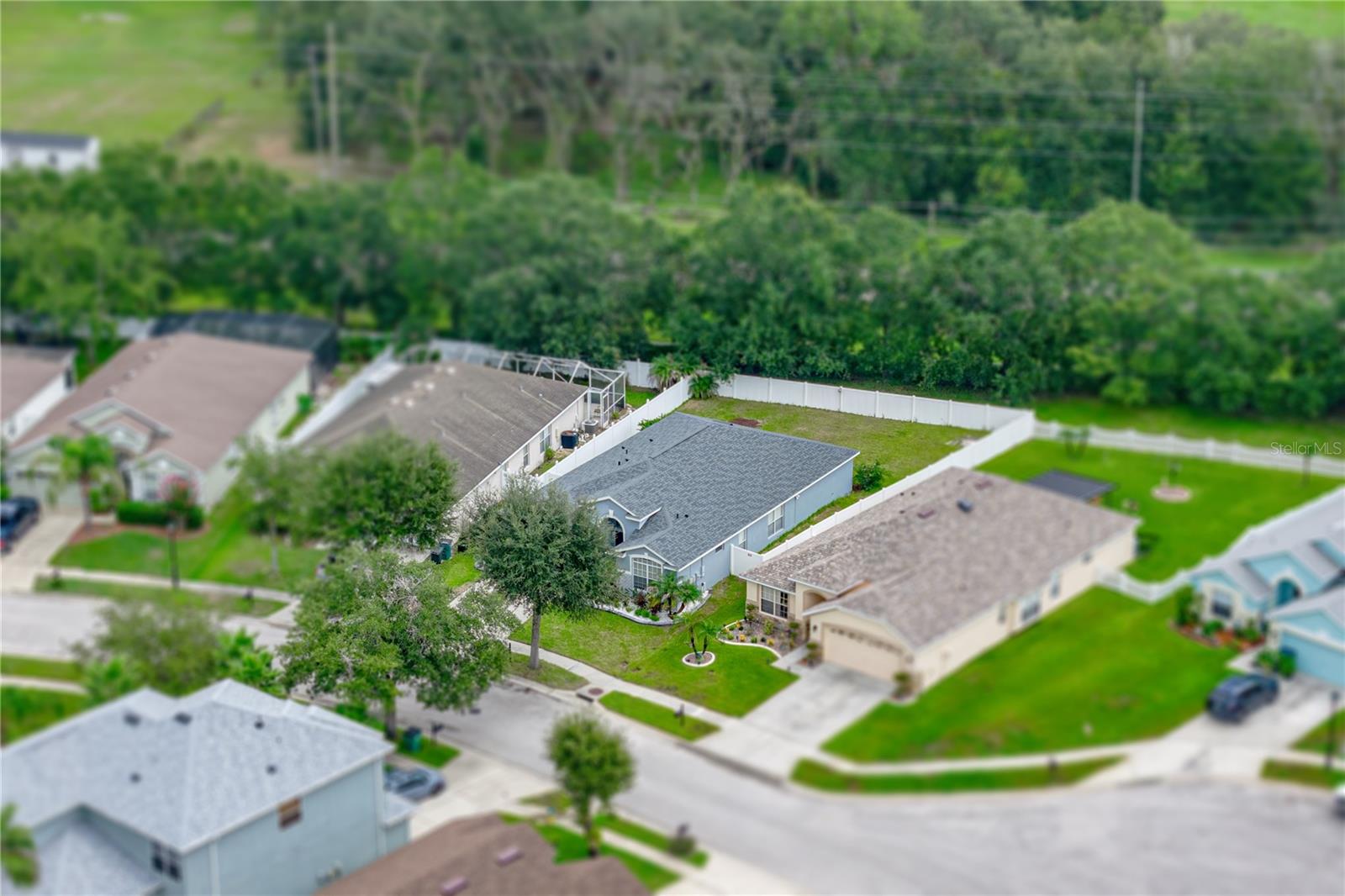34455 Cliffcreek Ct, Wesley Chapel, FL 33545 photo