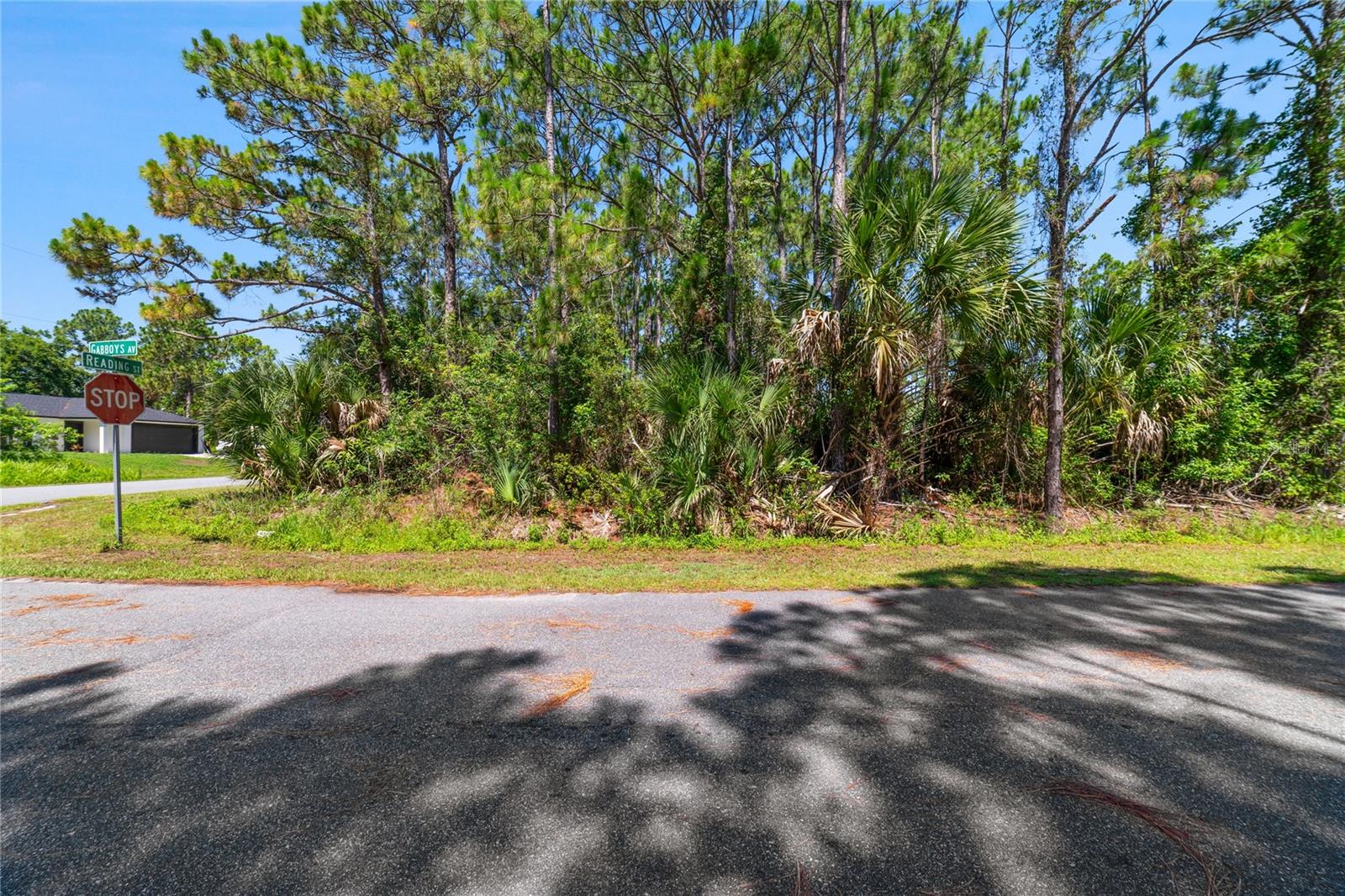 Gabboys Ave, Palm Bay, FL 32909 photo