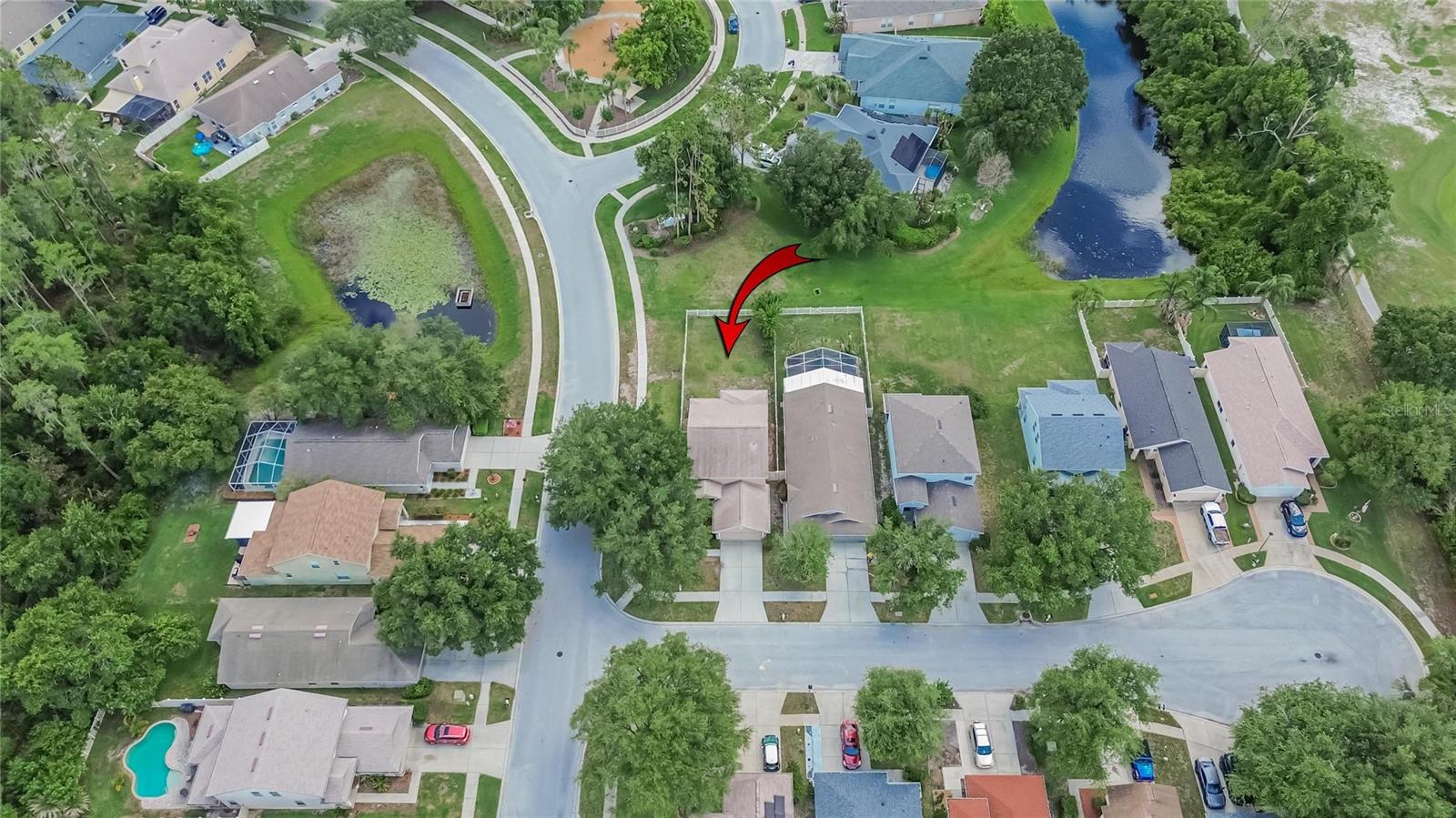 21040 Green Wing Ct, Land O Lakes, FL 34637 photo