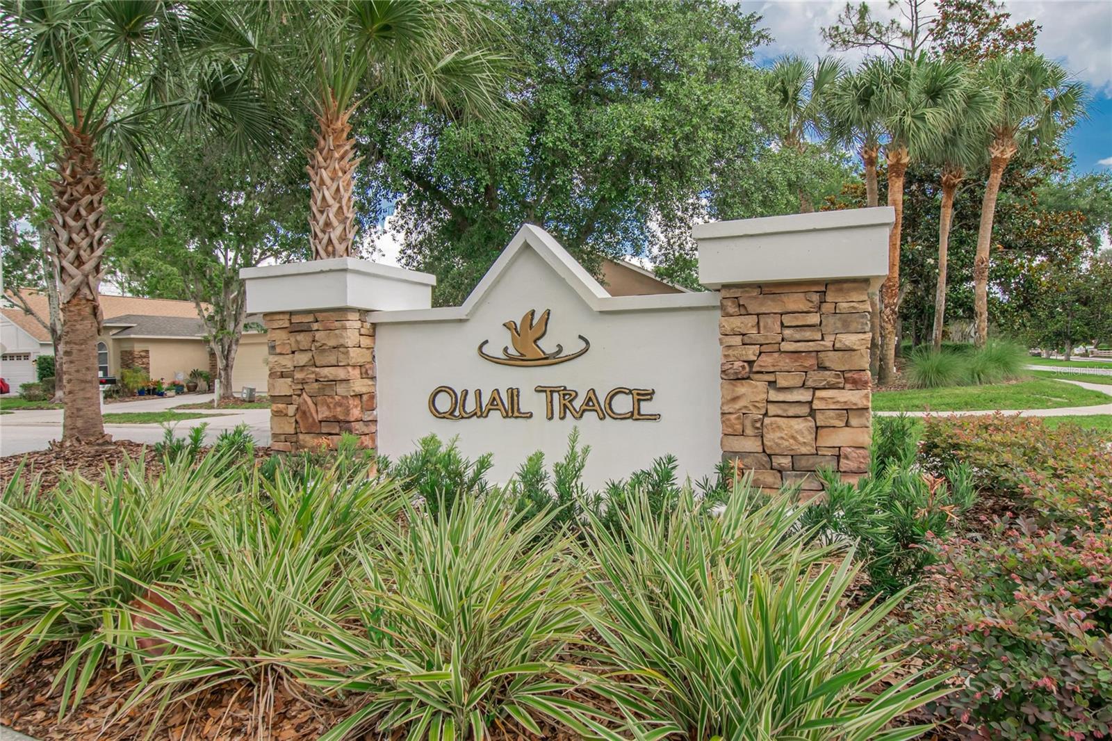 21040 Green Wing Ct, Land O Lakes, FL 34637 photo