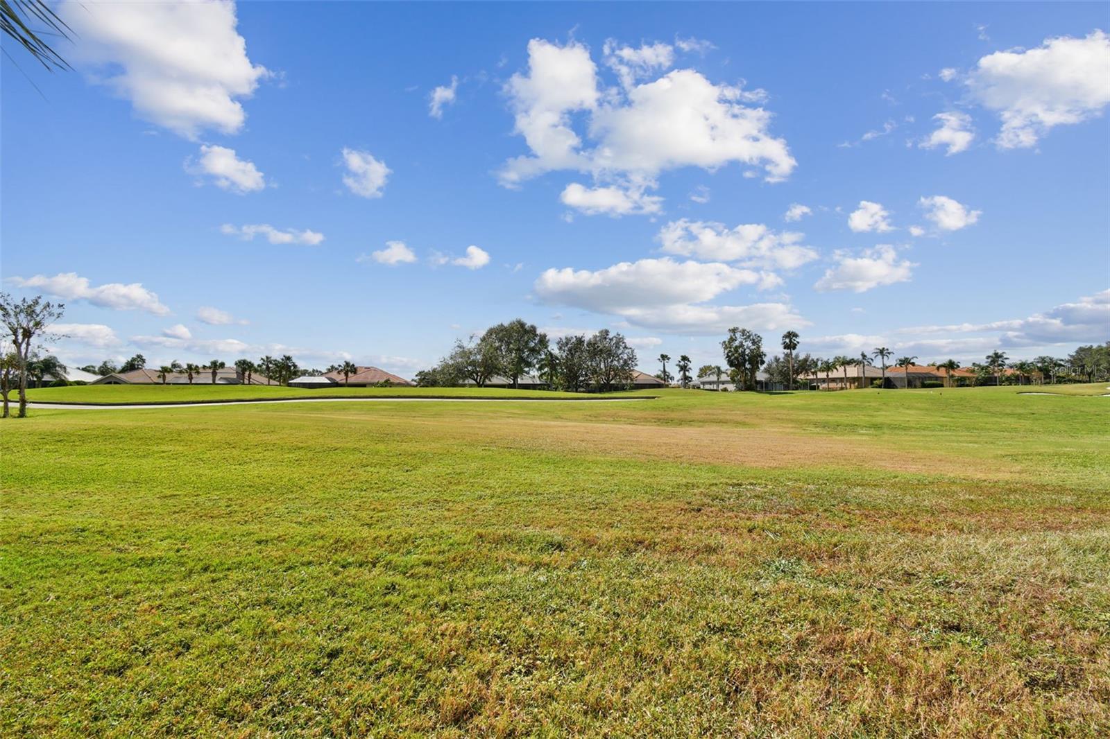 Townhouse in DADE CITY FL 13141 PALMILLA CIRCLE 61.jpg