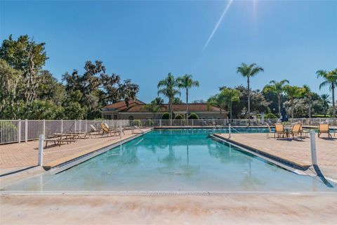 Townhouse in DADE CITY FL 13141 PALMILLA CIRCLE 92.jpg