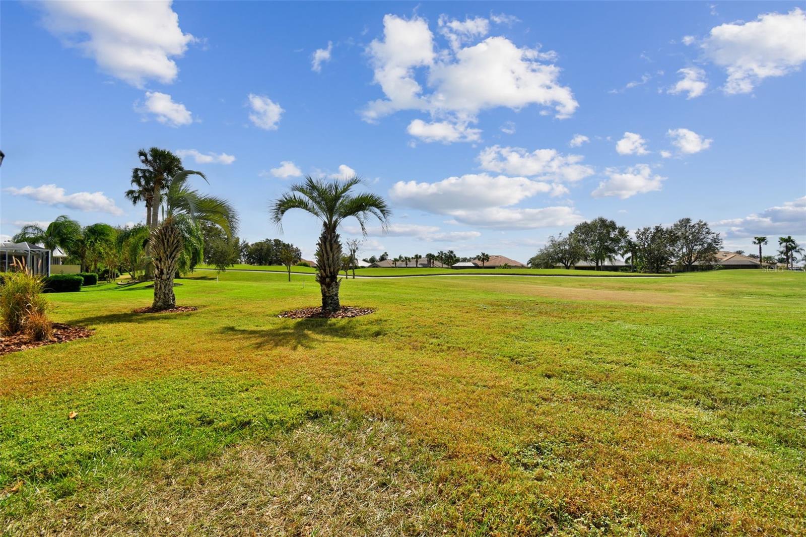 Townhouse in DADE CITY FL 13141 PALMILLA CIRCLE 59.jpg