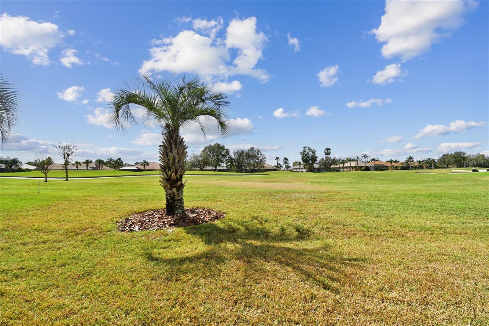Townhouse in DADE CITY FL 13141 PALMILLA CIRCLE 60.jpg