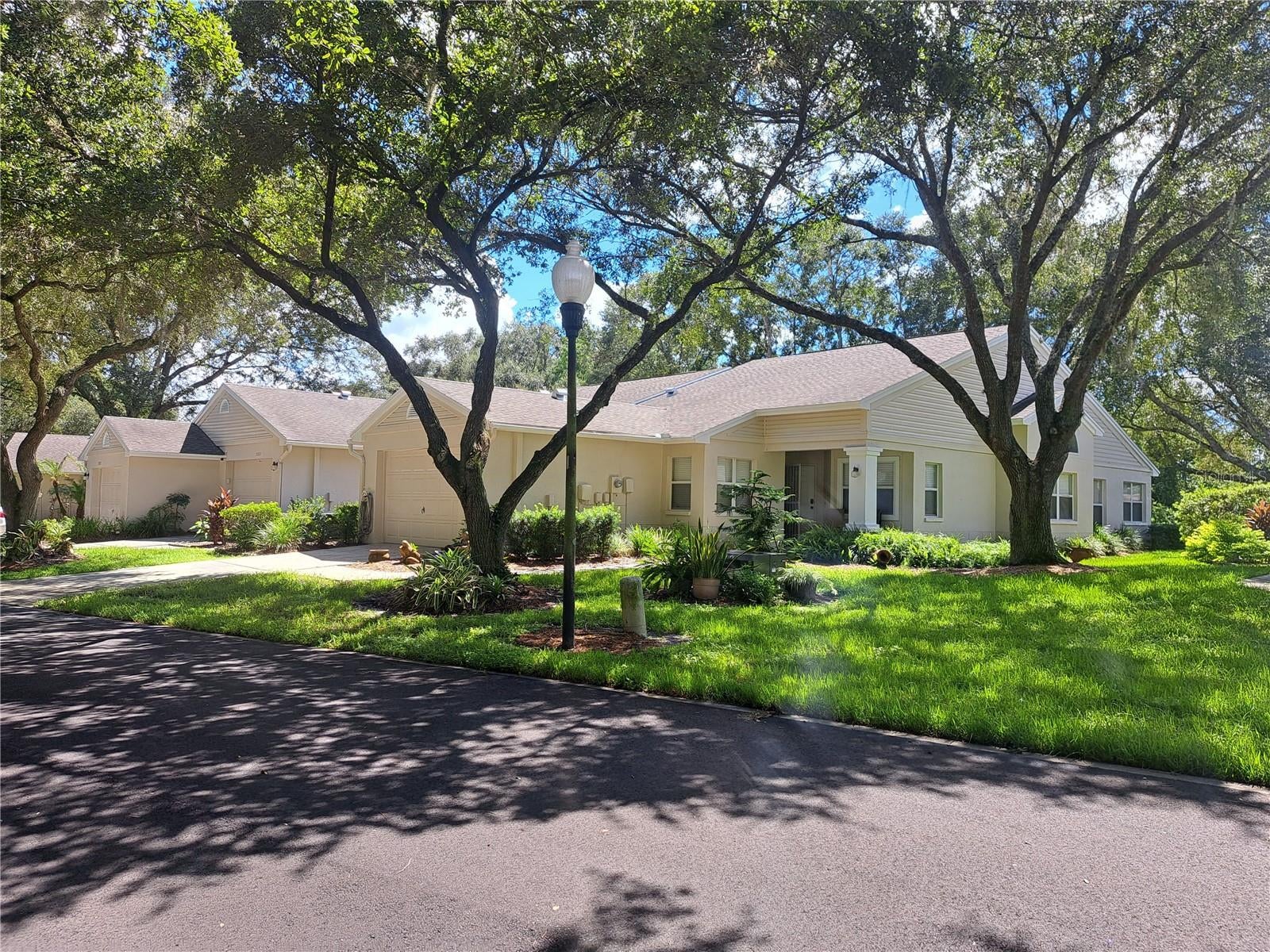 5316 Lochmead Terrace, Zephyrhills, FL 33541 photo