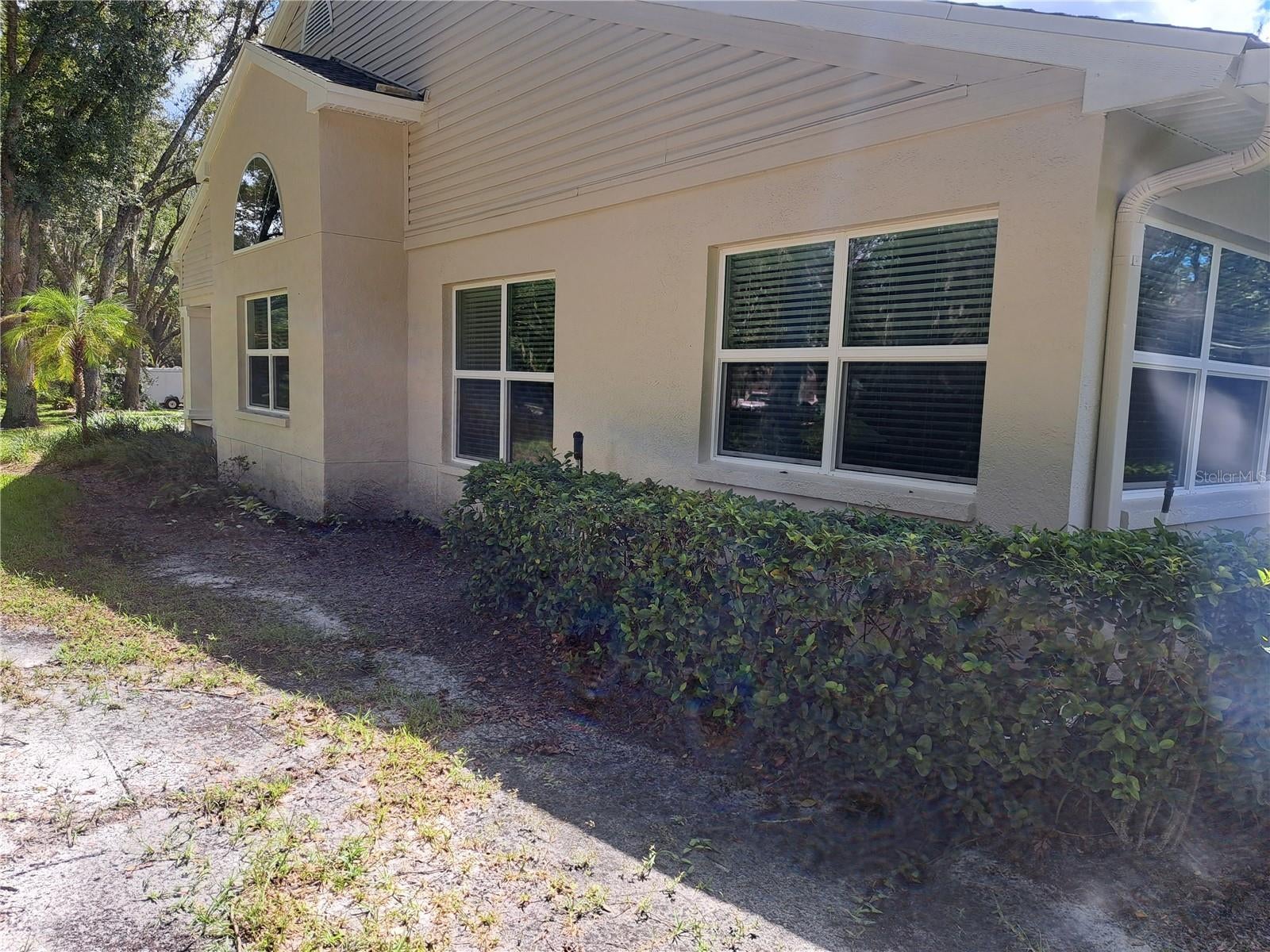 5316 Lochmead Terrace, Zephyrhills, FL 33541 photo