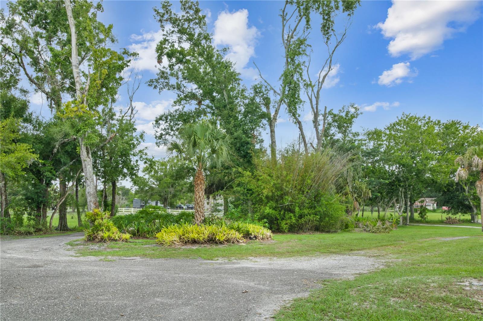 2650 Twenty Mile Level Rd, Land O Lakes, FL 34639 photo