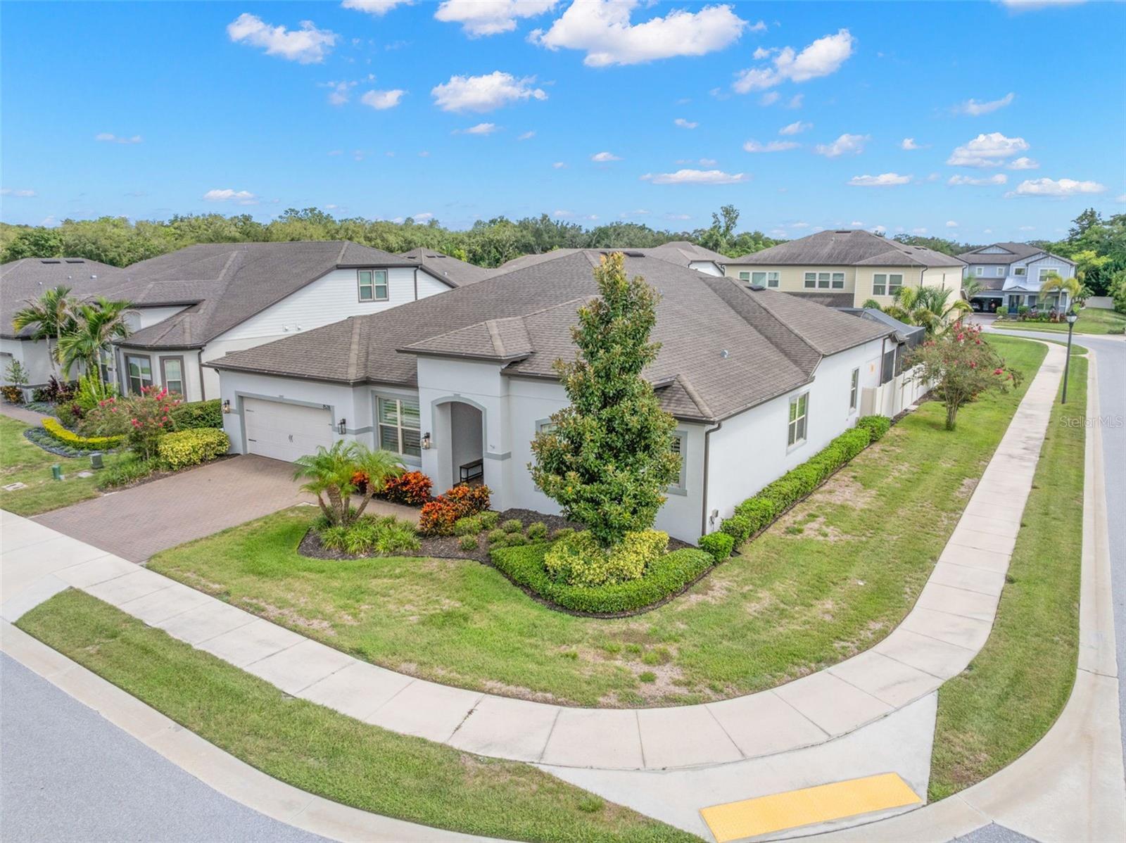 1528 Forest Glen Ct, Palm Harbor, FL 34683 photo