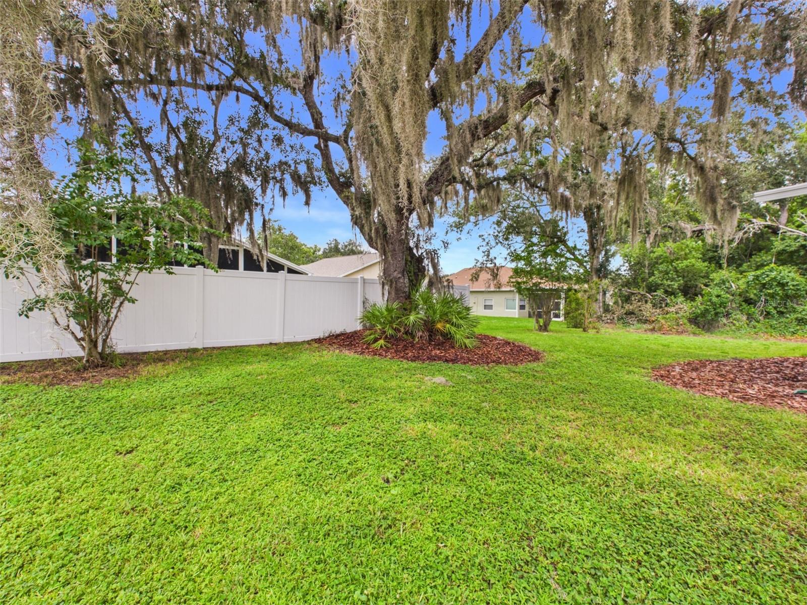35601 Wickingham Ct, Zephyrhills, FL 33541 photo