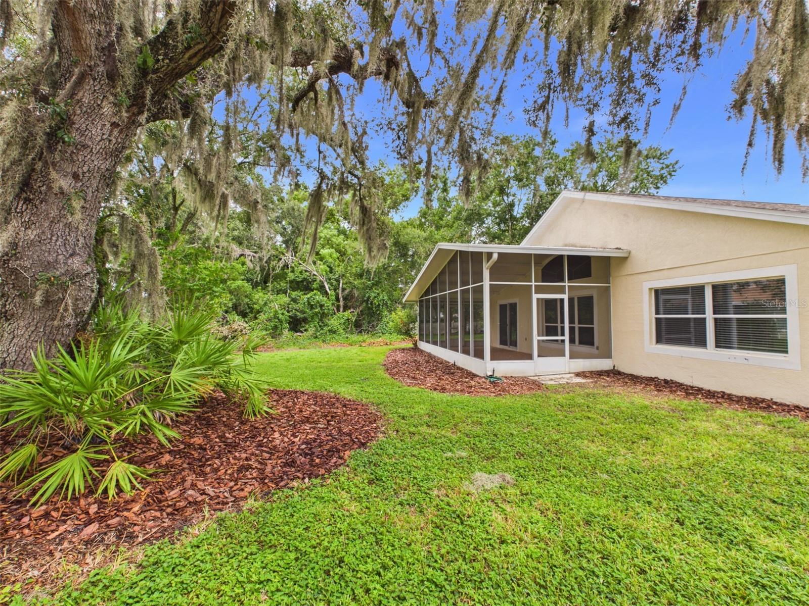 35601 Wickingham Ct, Zephyrhills, FL 33541 photo