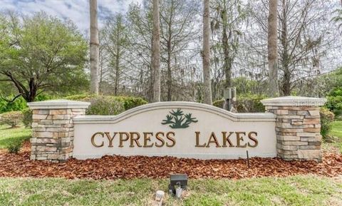 Single Family Residence in ELKTON FL 5850 CYPRESS ESTATES DRIVE.jpg