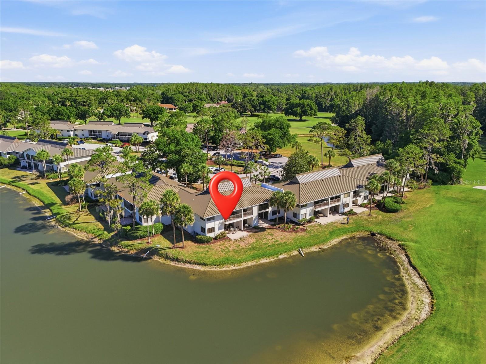 29300 Bay Hollow Drive 3257, Wesley Chapel, FL 33543 photo