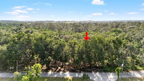  in DADE CITY FL 00 RIDERWOOD DRIVE 3.jpg