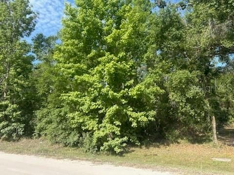  in ZEPHYRHILLS FL Lots 551-559 HAWTHORNE STREET.jpg