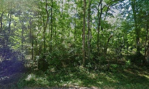  in BRANFORD FL 288TH STREET.jpg