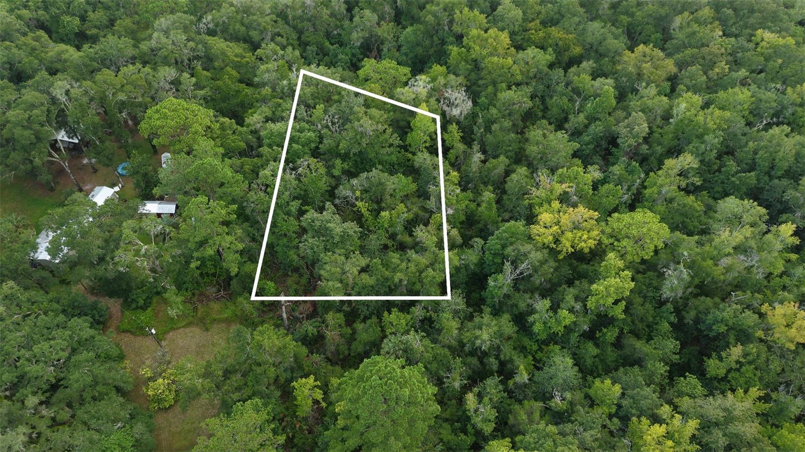 14186 Rosy Gull Ave, Weeki Wachee, FL 34614 photo