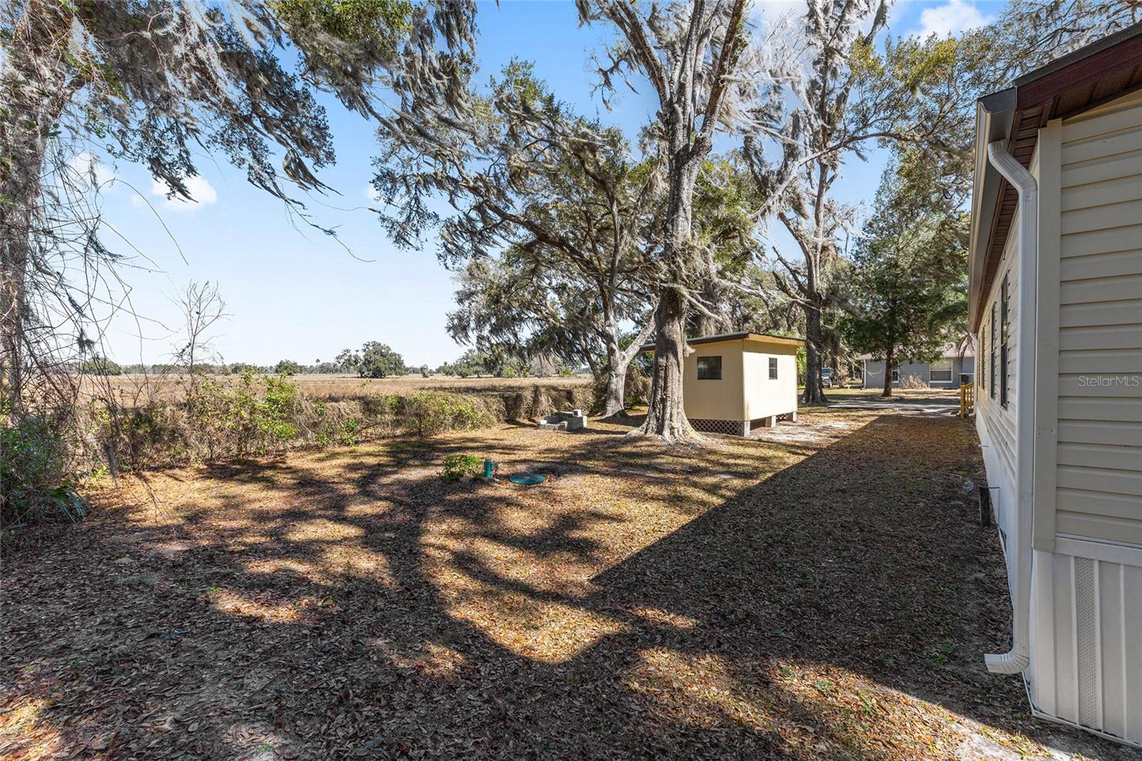 22817 SW 117 St, Dunnellon, FL 34431 photo