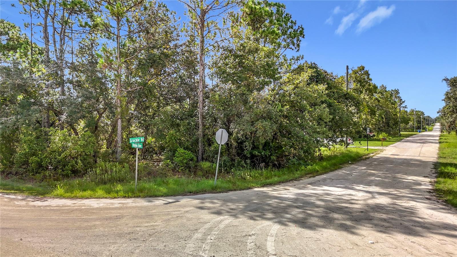 13542 Robin Ave, Weeki Wachee, FL 34614