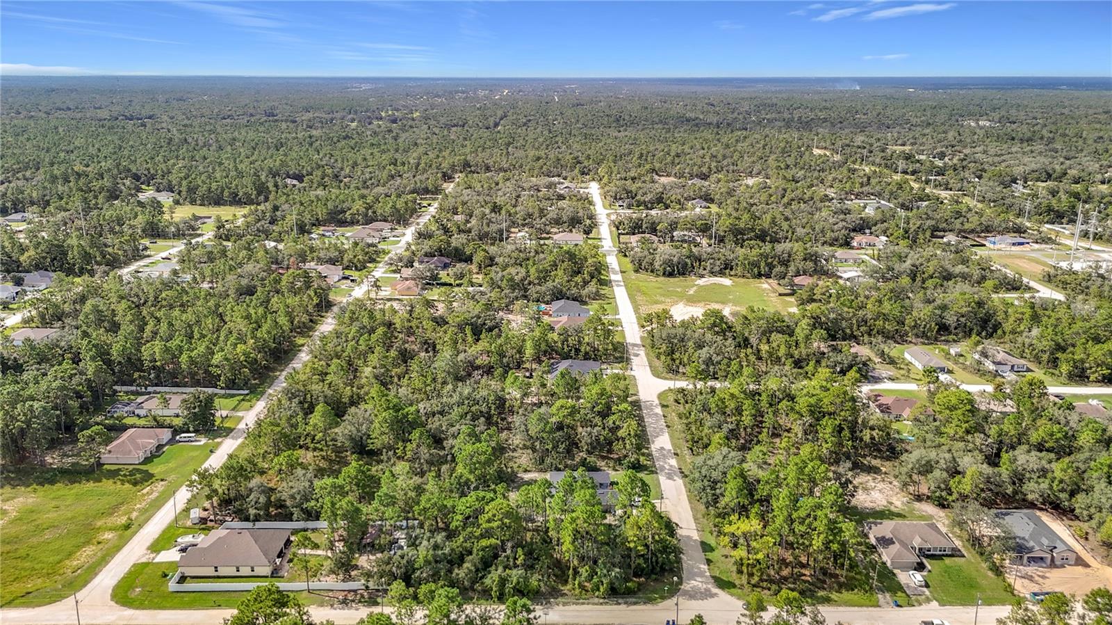 13542 Robin Ave, Weeki Wachee, FL 34614 photo