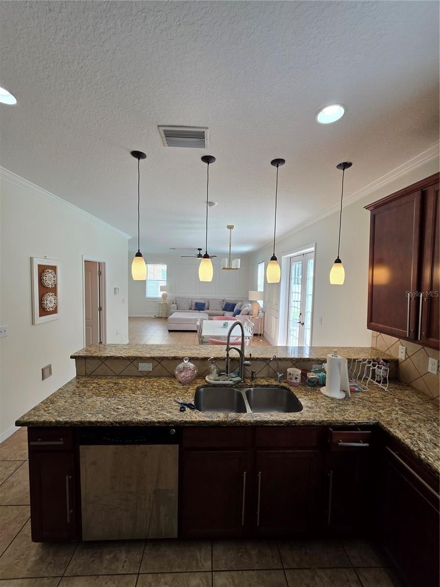 2623 Holly Bluff Ct, Plant City, FL 33566 photo