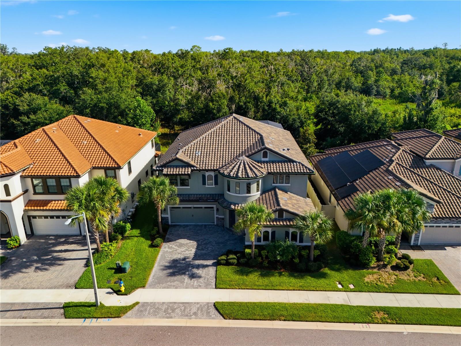 21711 Amelia Rose Way, Land O Lakes, FL 34637 photo