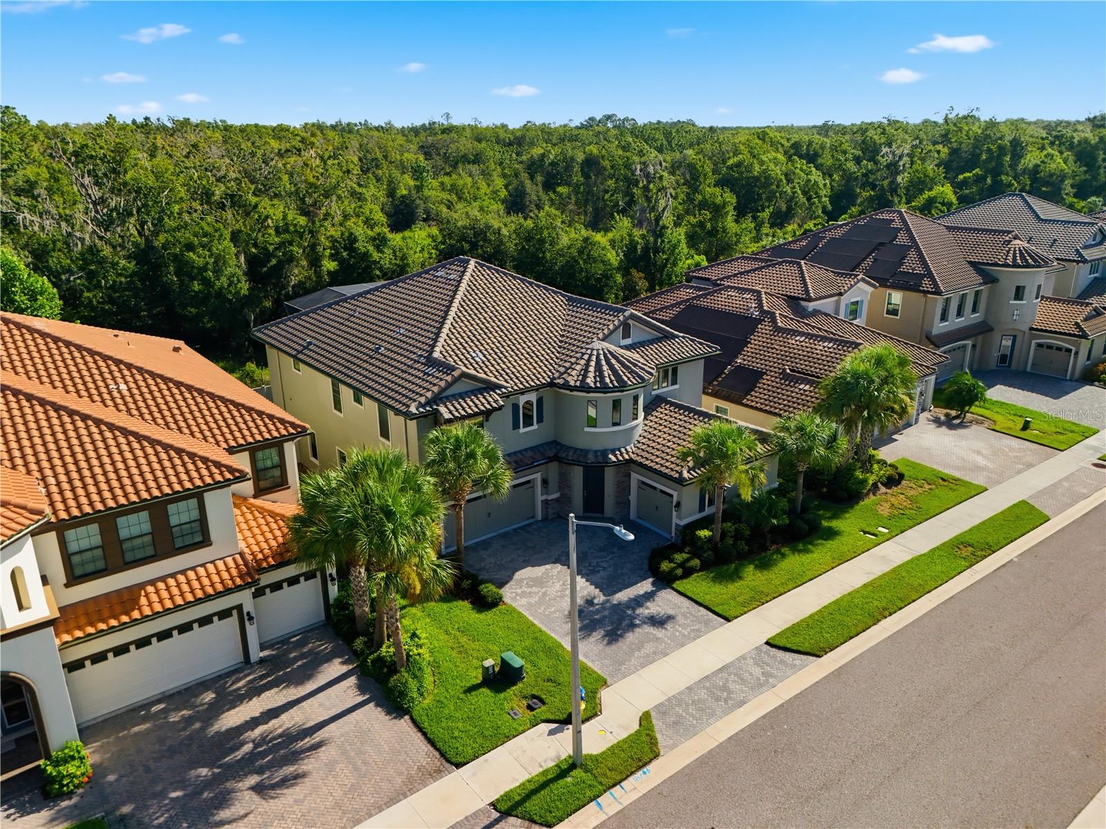 21711 Amelia Rose Way, Land O Lakes, FL 34637 photo