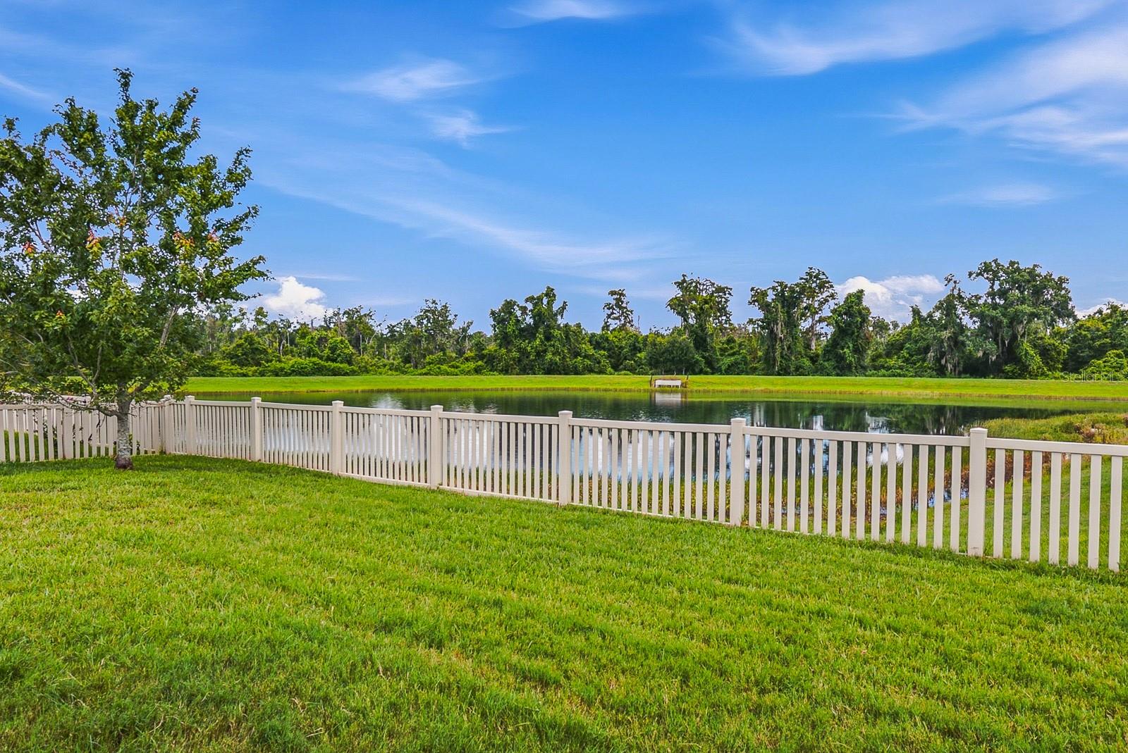 18515 Cortes Creek Blvd, Spring Hill, FL 34610 photo