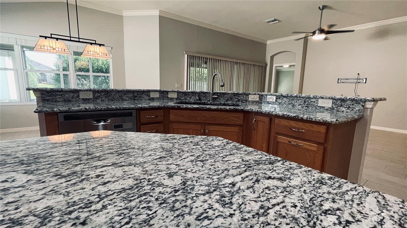 443 Pomegranate Path, The Villages, FL 32163 photo
