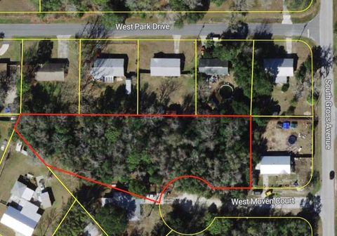  in HOMOSASSA FL 6263 W MOVEN COURT.jpg