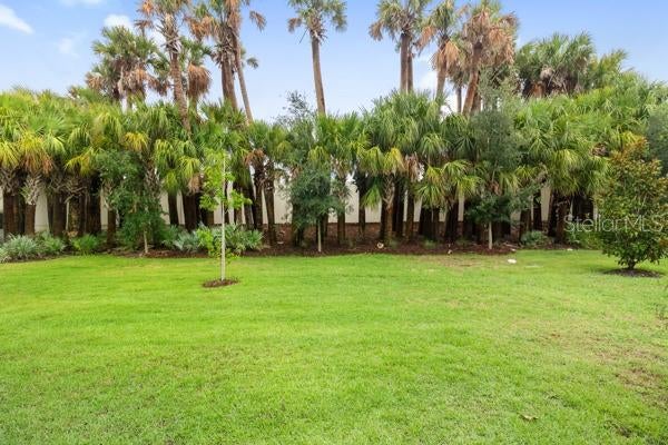 200 Soliera St, Nokomis, FL 34275 photo