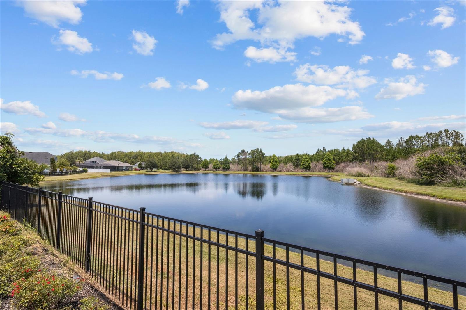 2903 Long Bow Way, Odessa, FL 33556 photo
