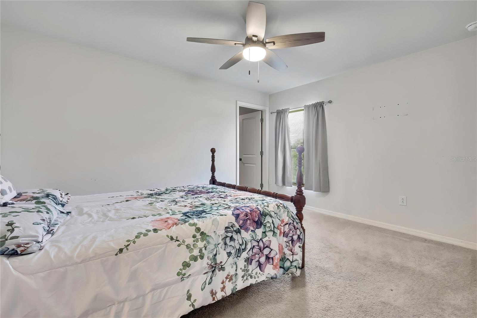 13134 Osprey Ave, Weeki Wachee, FL 34614 photo