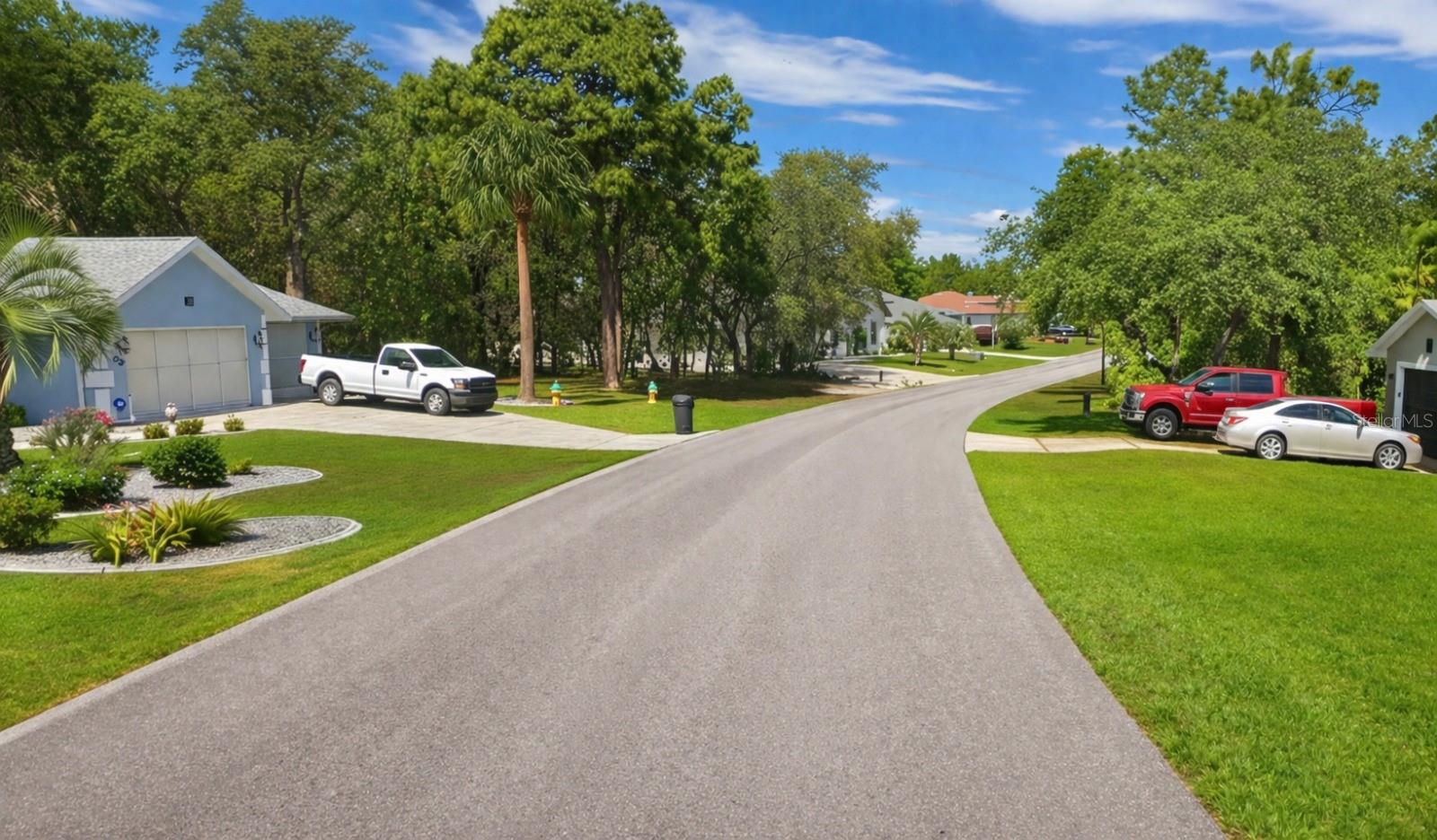 17 Speceberry Cir, Homosassa, FL 34446 photo