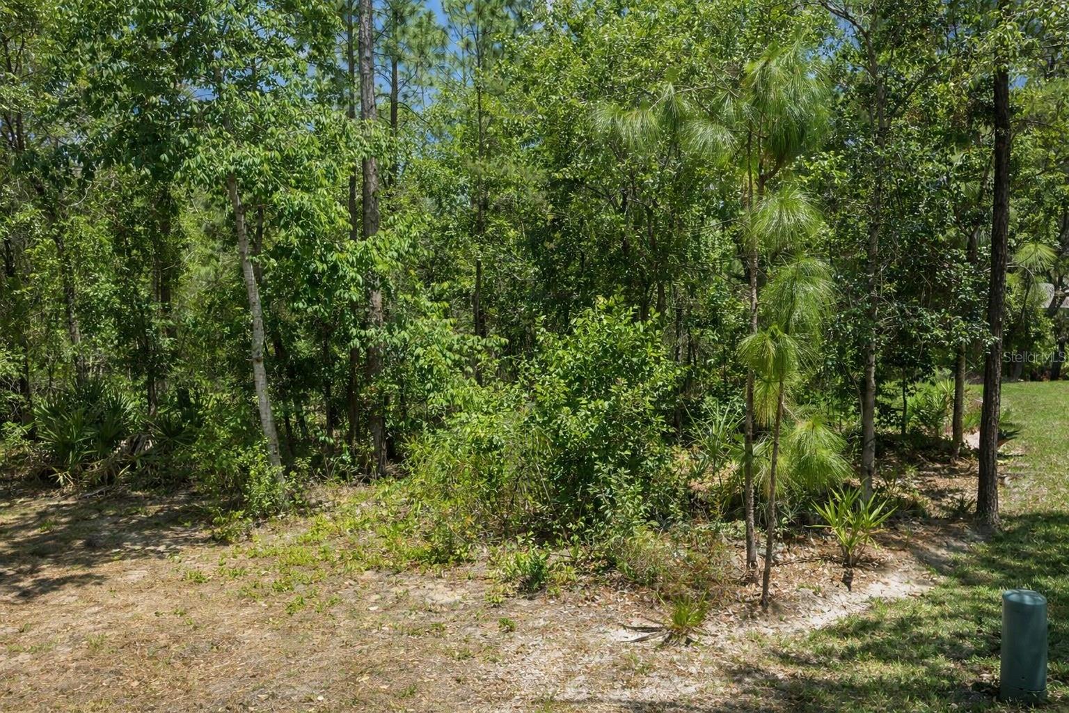 17 Speceberry Cir, Homosassa, FL 34446 photo