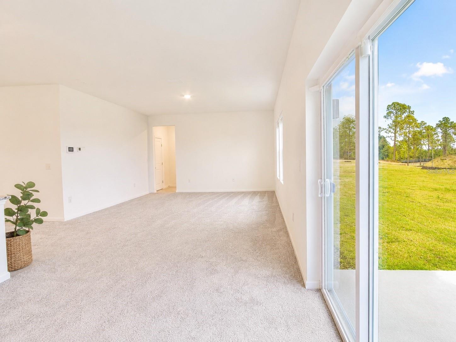 2150 Gold Dust Dr, Clermont, FL 34715 photo