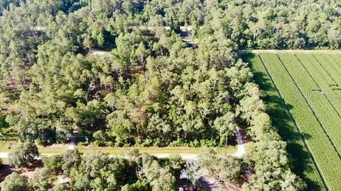  in HASTINGS FL 5075 IRVING STREET.jpg