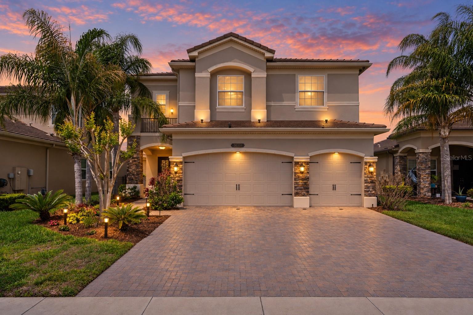 30351 Tristania Ct, Wesley Chapel, FL 33543 photo